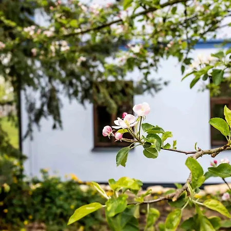 Chlum 5 Appartement *